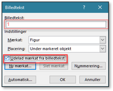 Billede i Word udelad mærkat til billedtekst