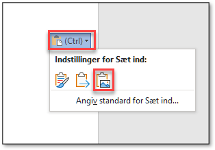 Indsæt pdf i word indsæt objekt som billede ved hjælp af genvejstast