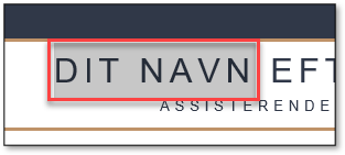 Klik på et felt og udfyld