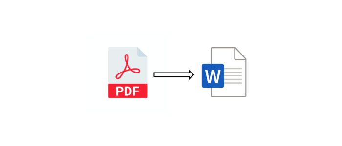 Illustration af PDF insættes i Word
