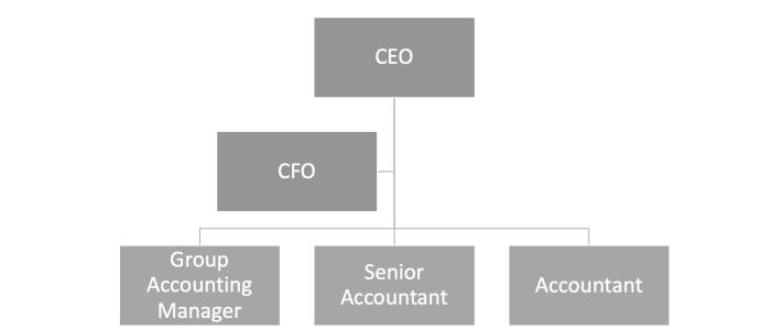 Organisationsstruktur